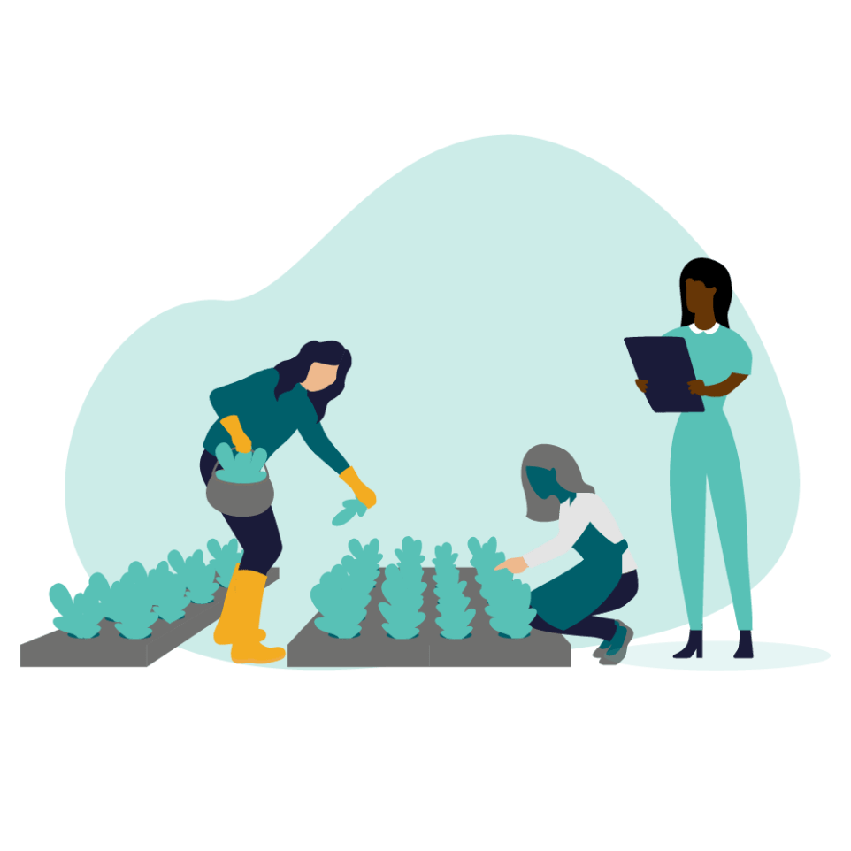3 people tending to crops